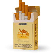 Les CAMEL